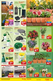 Aktueller Netto Marken-Discount Prospekt mit Rasenmäher, "Aktuelle Angebote", Seite 13