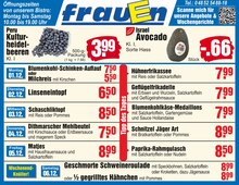 Aktueller E center Brunsbüttel Prospekt "Top Angebote" mit 2 Seiten