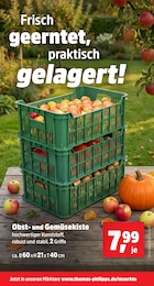 Obst Angebot & Preis im aktuellen Thomas Philipps Prospekt Obst Angebot im aktuellen Thomas Philipps Prospekt auf Seite 17