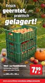 Obst im Thomas Philipps Prospekt in Ingolstadt Aktueller Thomas Philipps Prospekt mit Obst, "Top Angebote", Seite 17