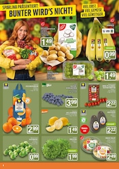 Tomaten im EDEKA Prospekt in Haltern am See Aktueller EDEKA Prospekt mit Tomaten, "Aktuelle Angebote", Seite 4