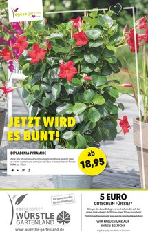 Gartenland Würstle Prospekt JETZT WIRD ES BUNT! mit  Seiten in Kottgeisering und Umgebung