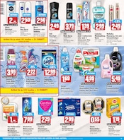 Persil im HIT Prospekt in Germering Aktueller HIT Prospekt mit Persil, "ECHTE VIELFALT", Seite 15