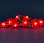 Botanic Fleury-Mérogis - Promo Guirlande LED Poinsettia Rouge Promo Guirlande LED Poinsettia Rouge à 11,99 € dans le catalogue Botanic à Fleury-Mérogis