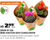 MINI-KAKTEEN ODER SUKKULENTEN im Angebot bei OBI in Freiburg MINI-KAKTEEN ODER SUKKULENTEN Angebote von GROW BY OBI bei OBI Freiburg für 2,99 €