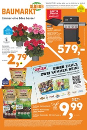 Globus-Baumarkt Baumarkt Prospekt der aktuellen Woche mit 20 Seiten, gültig von 04.05.2025 bis 10.05.2025, in Altötting und Umgebung Aktueller Globus-Baumarkt Baumarkt Prospekt in Altötting und Umgebung, "Immer eine Idee besser" mit 20 Seiten, 04.05.2025 - 10.05.2025