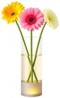 Glasvase im Angebot bei REWE in Ludwigshafen Glasvase Angebote von Best Sellers bei REWE Ludwigshafen für 7,99 €