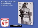 Herren-Slips im Angebot bei GLOBUS in Pirmasens Herren-Slips Angebote von Götzburg bei GLOBUS Pirmasens für 9,99 €