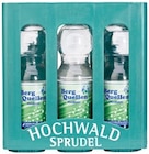 Berg Quellen Mineralwasser Angebote von Hochwald bei REWE Hennef für 2,99 €