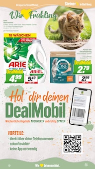 Katzenfutter im aktuellen EDEKA Prospekt (Osnabrück) Katzenfutter im EDEKA Prospekt "Aktuelle Angebote" mit 24 Seiten (Osnabrück)
