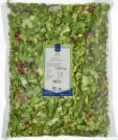 Aktuelles Salatmischung Monaco Angebot bei METRO in Frankfurt (Main) ab 9,62 €
