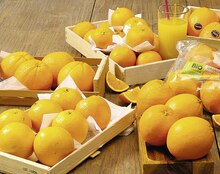Casino Supermarchés Villeneuve-la-Garenne - Orange Sélection variété Navel Promo Orange Sélection variété Navel dans le catalogue Casino Supermarchés "Les 366 jours les + promo de France" à Villeneuve-la-Garenne