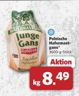 Polnische Hafermastgans Angebote von Roldrob bei combi Hameln für 8,49 €
