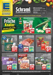 Aktueller EDEKA Prospekt "Wir lieben Lebensmittel!" Aktueller EDEKA Prospekt