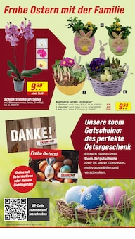 Blumentopf im aktuellen toom Baumarkt Prospekt (Karlsruhe) Blumentopf im toom Baumarkt Prospekt "Respekt, wer's selber macht." mit 28 Seiten (Karlsruhe)