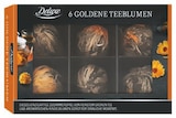 6 Goldene Teeblumen im Angebot bei Lidl in Würzburg 6 Goldene Teeblumen Angebote von Deluxe bei Lidl Würzburg für 7,99 €