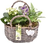 Weidentasche »Herzenskraft« Angebote bei REWE Heidelberg für 9,99 €