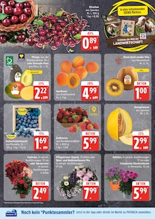 Aktueller EDEKA Prospekt "Top Angebote" Aktueller EDEKA Prospekt