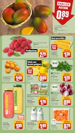 Salat Angebot im aktuellen REWE Prospekt auf Seite 6