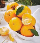 Intermarché Contact Villette-de-Vienne - Promo Mandarine Promo Mandarine à 2,89 € dans le catalogue Intermarché Contact à Villette-de-Vienne