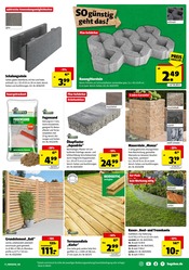 Aktueller Hagebaumarkt Prospekt mit Terrassendielen, "SO günstig geht das!", Seite 15