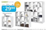 Raumteiler von CARRYHOME im aktuellen XXXLutz Prospekt für 29,90 €