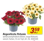 Angebot im toom Baumarkt Weimar Prospekt toom Baumarkt Weimar Prospekt mit im Angebot für 3,59 €