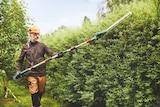 Akku-Teleskop-Heckenschere, 20 V von Parkside im aktuellen Lidl Prospekt für 49,99 €