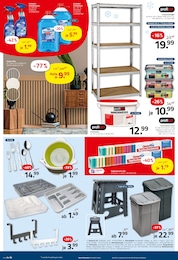 Frostschutz Angebot im aktuellen ROLLER Prospekt auf Seite 12