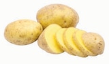 Speisefrühkartoffeln Angebote bei Markant Nordwest Lemgo für 2,22 €
