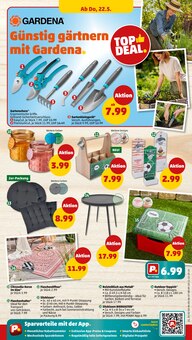 Kerzen im Penny Prospekt "Wer günstig will, muss Penny." mit 37 Seiten (Duisburg)