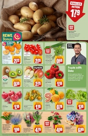 Pflanzen Angebot im aktuellen REWE Prospekt auf Seite 11