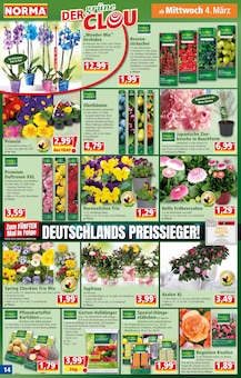 Blumen im aktuellen Norma Prospekt (Jena) Blumen im Norma Prospekt "Mehr fürs Geld" mit 20 Seiten (Jena)