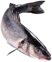 Fisch im aktuellen REWE Prospekt für €1.49