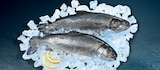 Regenbogen-Forelle Angebote bei Netto Marken-Discount Mühlhausen für 1,19 €