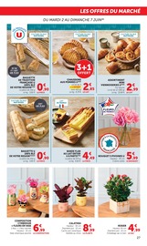 Promos Plantes dans le catalogue "Super U" de Super U Plantes en promo dans le catalogue Super U à la page 27
