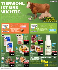 Steak im Kaufland Prospekt "Aktuelle Angebote" mit 28 Seiten (Osnabrück)