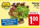 Ballensalat Trio-Mix im Angebot bei EDEKA in Ravensburg Ballensalat Trio-Mix Angebote bei EDEKA Ravensburg für 1,00 €