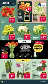 Erdbeeren im Netto mit dem Scottie Prospekt in Stralsund Aktueller Netto mit dem Scottie Prospekt mit Erdbeeren, "Günstig. Besser. Für Dich.", Seite 2