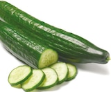 Netto mit dem Scottie Schönberg - Gurke Angebot im Prospekt Gurke bei Netto mit dem Scottie im Schönberg Prospekt für 0,79 €