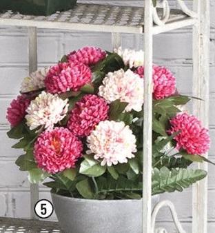 Centrakor Fontenay-en-Parisis - La coupe de zinnias Promo La coupe de zinnias dans le catalogue Centrakor Centrakor, j'adore ! à Fontenay-en-Parisis