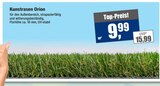 Kunstrasen Orion Angebote bei Scheidt Soest für 9,99 €
