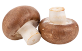 Mini Champignons im Angebot bei REWE in Düsseldorf Mini Champignons Angebote bei REWE Düsseldorf für 1,79 €