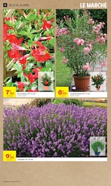 Jardinage en promo dans le catalogue Intermarché Super à la page 12