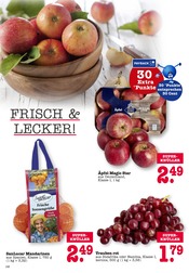 Aktueller E center Prospekt mit Obst, "Aktuelle Angebote", Seite 14