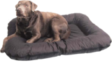 Hundekissen Ponto bei Globus-Baumarkt im Hösbach Prospekt für 43,99 €