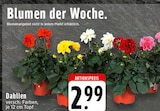 Angebot im EDEKA Moers Prospekt EDEKA Moers Prospekt mit im Angebot für 2,99 €