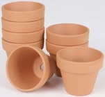 Aktuelles Terrakotta Blumentopf Angebot bei Thomas Philipps in Hildesheim ab 0,69 €