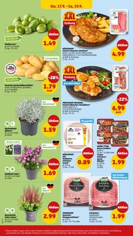 Blumen im aktuellen Penny Prospekt (Ulm) Blumen im Penny Prospekt "Wer günstig will, muss Penny." mit 43 Seiten (Ulm)