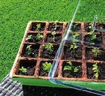 Globus-Baumarkt Kaltenkirchen Prospekt mit  im Angebot für 3,49 €